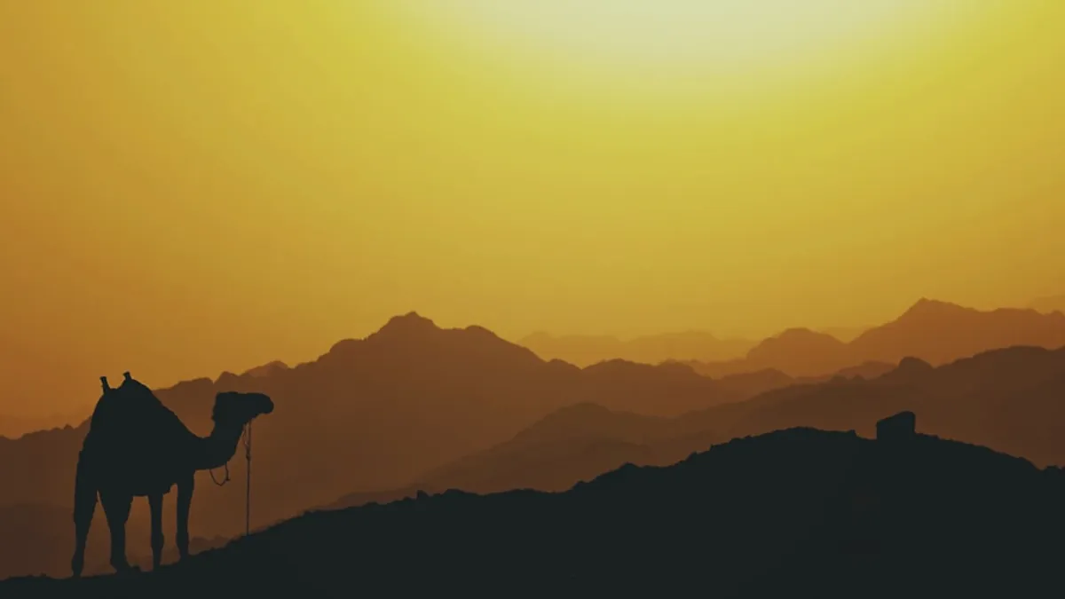 Camel — Islamic illustration (animal)